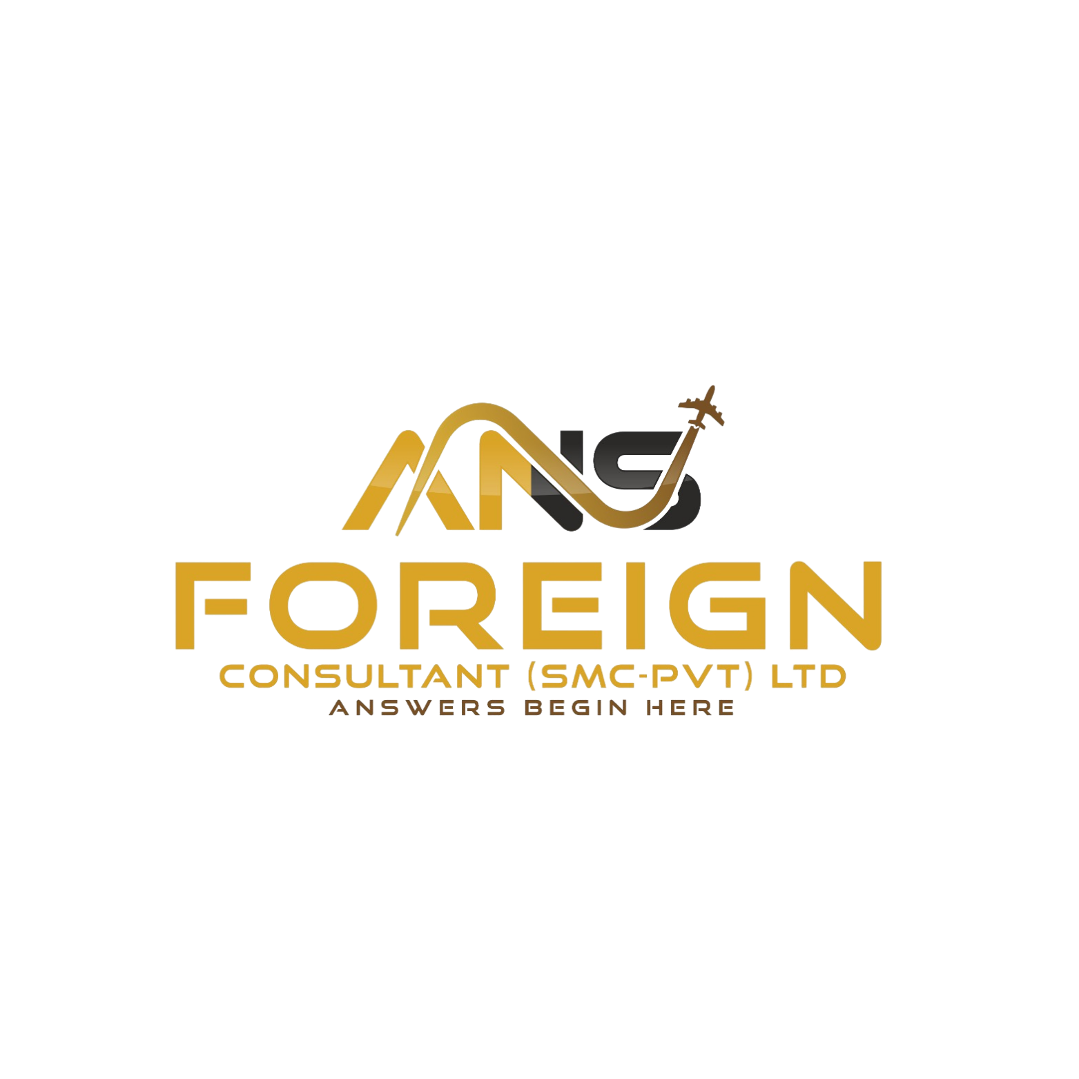 ANS Foreign Consultant logo